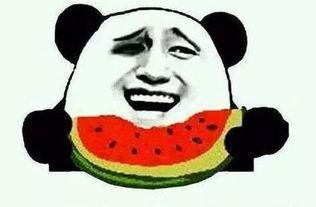 娱乐吃瓜群众1